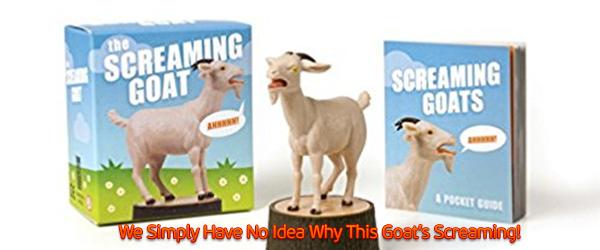 screaming goat toys